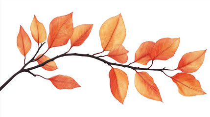 Naklejka premium Fallen leaves on a branch, elegantly isolated against a white background in a clean clipart style. High-resolution PNG format, perfect for seasonal designs, nature themes, and creative projects.