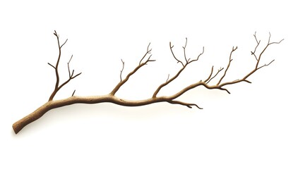 Obraz premium Detailed Brown Tree Branch on White Background