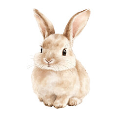 Obraz premium A cute little rabbit, vector illustration, hand-drawn style, white background, beige color scheme