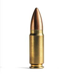 bullet, ammunition, cartridge, gun, isolated, ammo, weapon, war, rifle, brass, metal, military, white, bullets, shell, danger, lead, caliber, object, army, copper, shot, old, round, vector