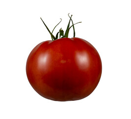 Tomato, nightshade, a species of plant in the nightshade family. It comes from Peru.