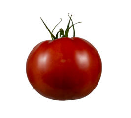 Tomato, nightshade, a species of plant in the nightshade family. It comes from Peru.