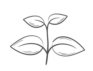 Sprout with four leaves line illustration. Spring, planting and nature design element. Isolated vector image