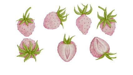 Set of juicy berries of white,pineapple strawberries.Vector graphics.