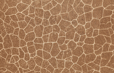 A flat, smooth brown cardboard texture with no shadows or patterns, featuring background. It mimics real cardboard, adding depth and an organic feel, ideal for realistic designs in creative