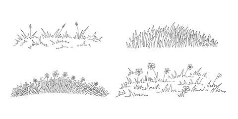Sketch meadow grass. Line art spring field with natural wild grasses tufts and blooming wildflowers, simple hand drawn lawn grass decorative vector illustration set