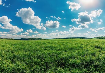 Fototapeta premium Expansive Green Meadow Under Bright Blue Sky with Fluffy White Clouds and Warm Sunlight in a Picturesque Natural Landscape Scene