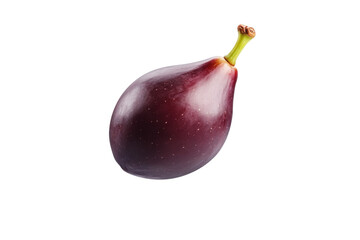 Purple fruit with a green stem, isolated