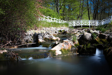 bridge in the park