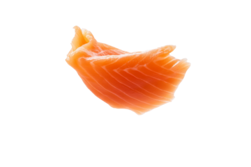 Piece of salmon is shown in the air, with its skin and bones visible, isolated