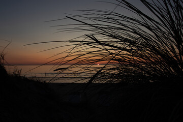 sunset in the beach