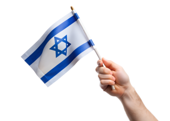 hand holding a flag of france