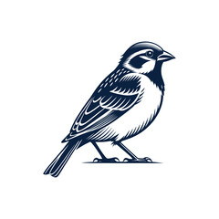 Fototapeta premium House Sparrow bird silhouette logo vector line art logo design