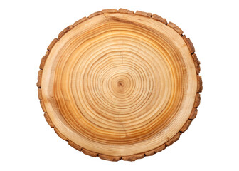 cross section of tree stump isolated
