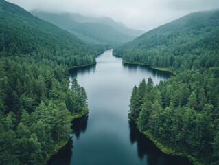 Obraz premium Serene Aerial View of Lush Green Forests Surrounding a Calm River in Misty Mountains Capturing Nature’s Tranquility and Beauty
