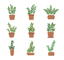 House plant in pot decoration collection. Tropical leaves style summer home decor. Vector illustration