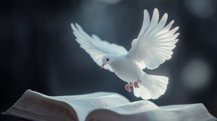White dove fly over bible holy spirit roll bible tomb peace freedom. Purity Noah ark covenant new testament old testament baptism. Jesus Baptist gospel symbolism god heaven grace hope love spirit.