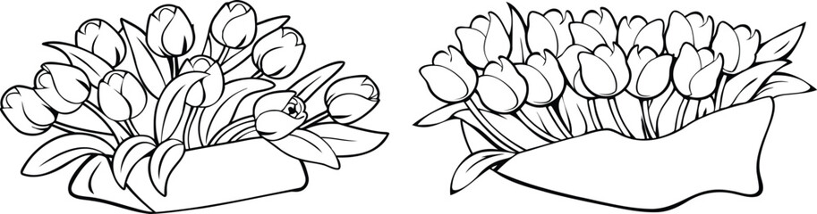 set of Elegant Bouquet of Tulip Flowers in a Bag Line Art Vector Design tulip, doodle, hand drawn, minimalist, outline, rose, silhouette, sketch, drawing, drawn, wallpaper, art, bouquet, collection