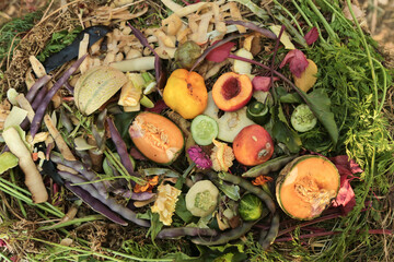 Compost pile in garden close up top view. Bio waste, various vegetables and fruits food scraps background, texture. Zero waste, composting concept