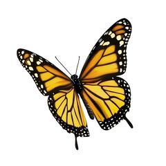 Naklejka premium beautiful butterfly with vibrant orange wings on white background