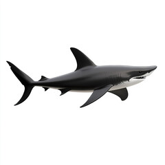 Fototapeta premium black shark icon on white background