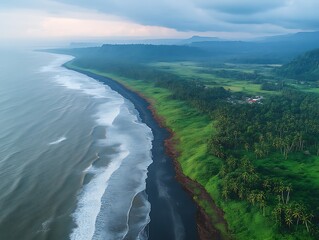 Aerial perspective of black sand beach and coastline with vegetation