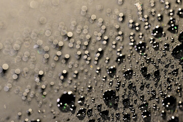 Close-Up of Water Droplets on Dark Surface