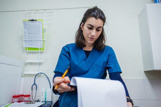 Veterinarian Writing Notes in Clinical Office