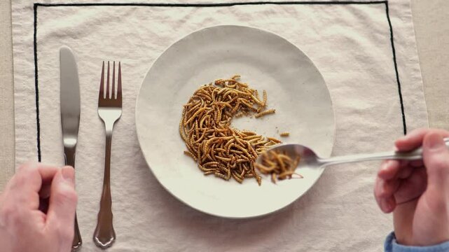 Insect food. Edible Mealworms on Spoon.Worms and male hands with a fork and knife in a beige plate on a linen tablecloth. 4k footage