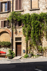 Picturesque street in Bolgheri, municipality of Castagneto Carducci, Tuscany, Italy, with traditional exposed brick and ivy-covered houses.