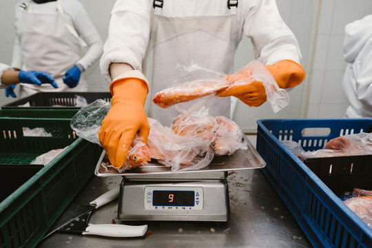 working in fish indusrty