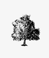 Poetry of tree vector 