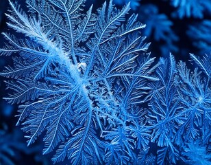 ice crystal formations under a microscope, glowing blue and white, creating abstract pattern