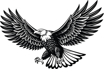 Obraz premium Flying Bald Eagle black and white Silhouette vector A Bald Eagle black Silhouette Vector isolated