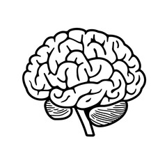 A black and white brain icon symbolizing intelligence, cognitive function, learning, neuroscience, and mental health awareness.
