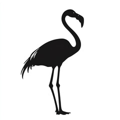 Fototapeta premium Silhouette of standing flamingo on white background