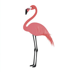 Fototapeta premium Flamingo standing silhouette design with pink feathers