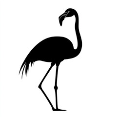 Obraz premium Silhouette of standing flamingo on white background