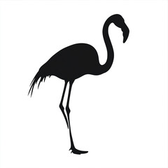 Naklejka premium Silhouette of standing flamingo on white background