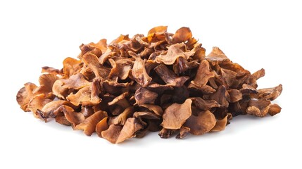 Obraz premium maitake mushrooms isolated on white background
