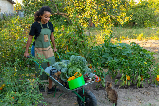 woman with garden cart in vegetable garden