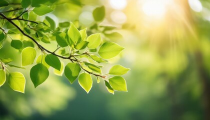 Vibrant Green Canopy under a Sunlit Sky Lush Leaves Shimmer in the Light, Bringing Natures Serenity and Life to an Idyllic Scene.