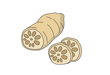 れんこん, 蓮根, 野菜, 根菜, 食材, 料理, 煮物, 炒め物, 天ぷら, サラダ, 和食, 健康, ヘルシー, スーパー, 食品, 市場, 収穫, 栄養, ビタミン, 食物繊維, 縁起物, 正月, おせち, 伝統, 和風, シンプル, イラスト, ベクター, アイコン, カット野菜, 乾燥野菜, 食べ物, 白,原料