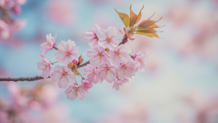 cherry blossom in spring, Generative AI