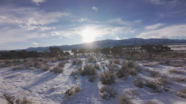 Aerial-First person view - FPV - Flying low over sagebrush hill top to cedar trees and toward the flare of the setting sun over long evening shadows 