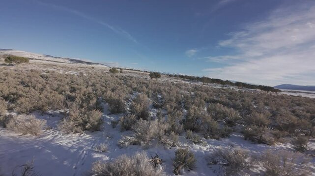 Aerial-First Person View-FPV- Flying low over tall sagebrush passing a pair of cedar trees - Over snowy ground climbing a hill 