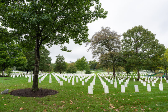 Arlington National Cemetery showing headstones and trees