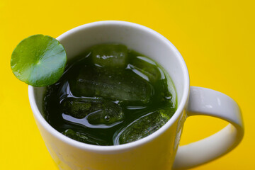 Herbal juice drink, Fresh green centella asiatica leaves or water pennywort plant or gotu kola.