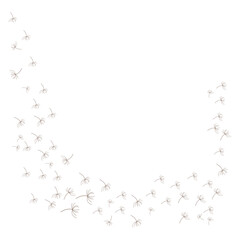 dandelion logo concept wallpaper background design illustration dandelion plant template flying