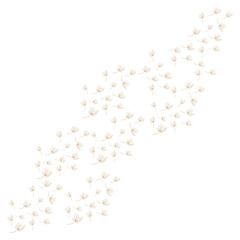 dandelion logo concept wallpaper background design illustration dandelion plant template flying